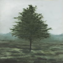 <h4>Baum • 80 cm x 80 cm • 2006</h4>