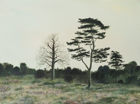 <h4>Wahner Heide • 40 cm x 30 cm • 2007</h4>