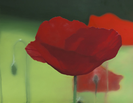 <h4>Mohn • 130 cm x 100 cm • 2008</h4>